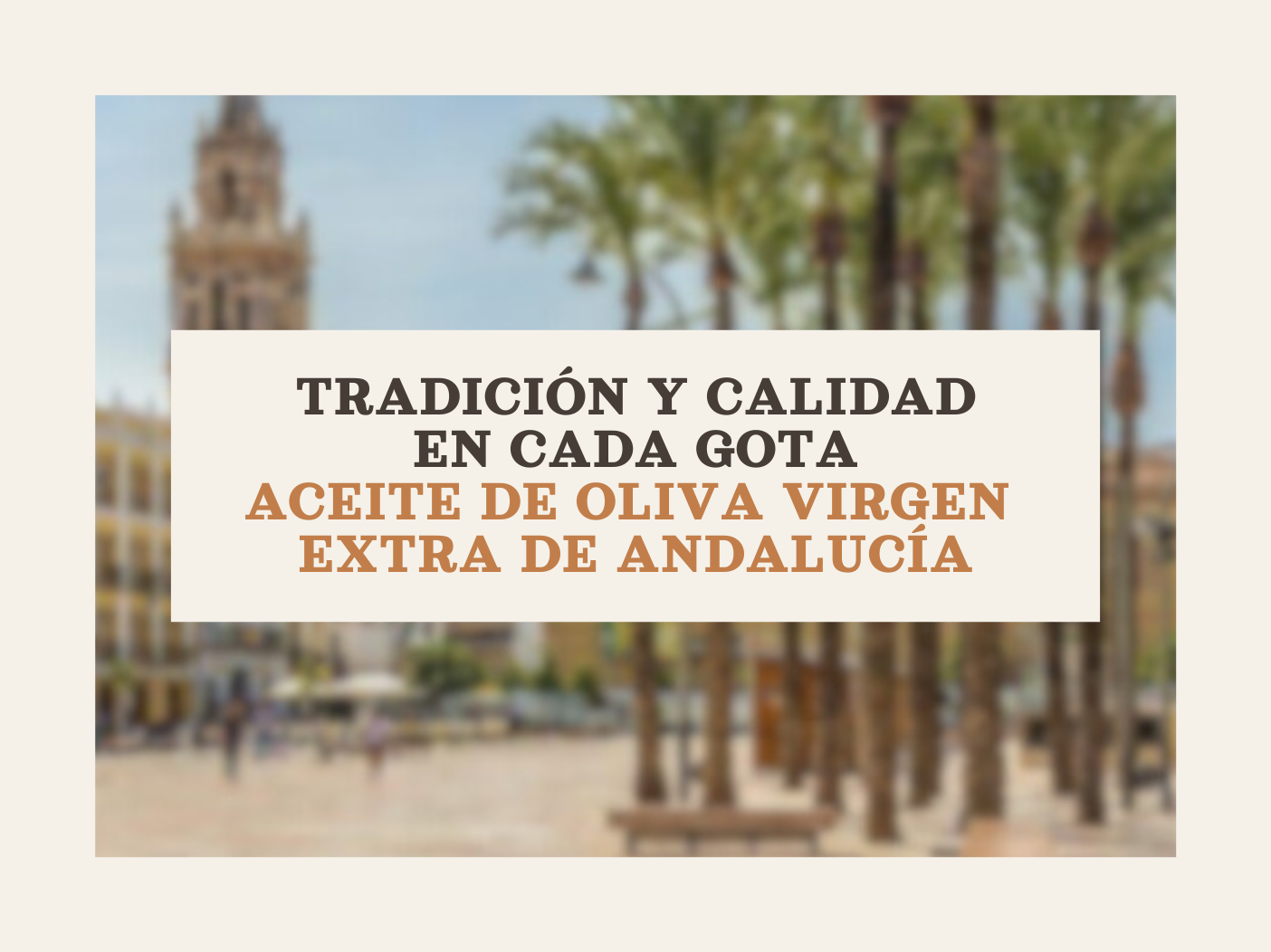 Imagen destacada de Precio del aceite de oliva virgen extra en 2026: cómo influyen las lluvias, la cosecha y la calidad del AOVE