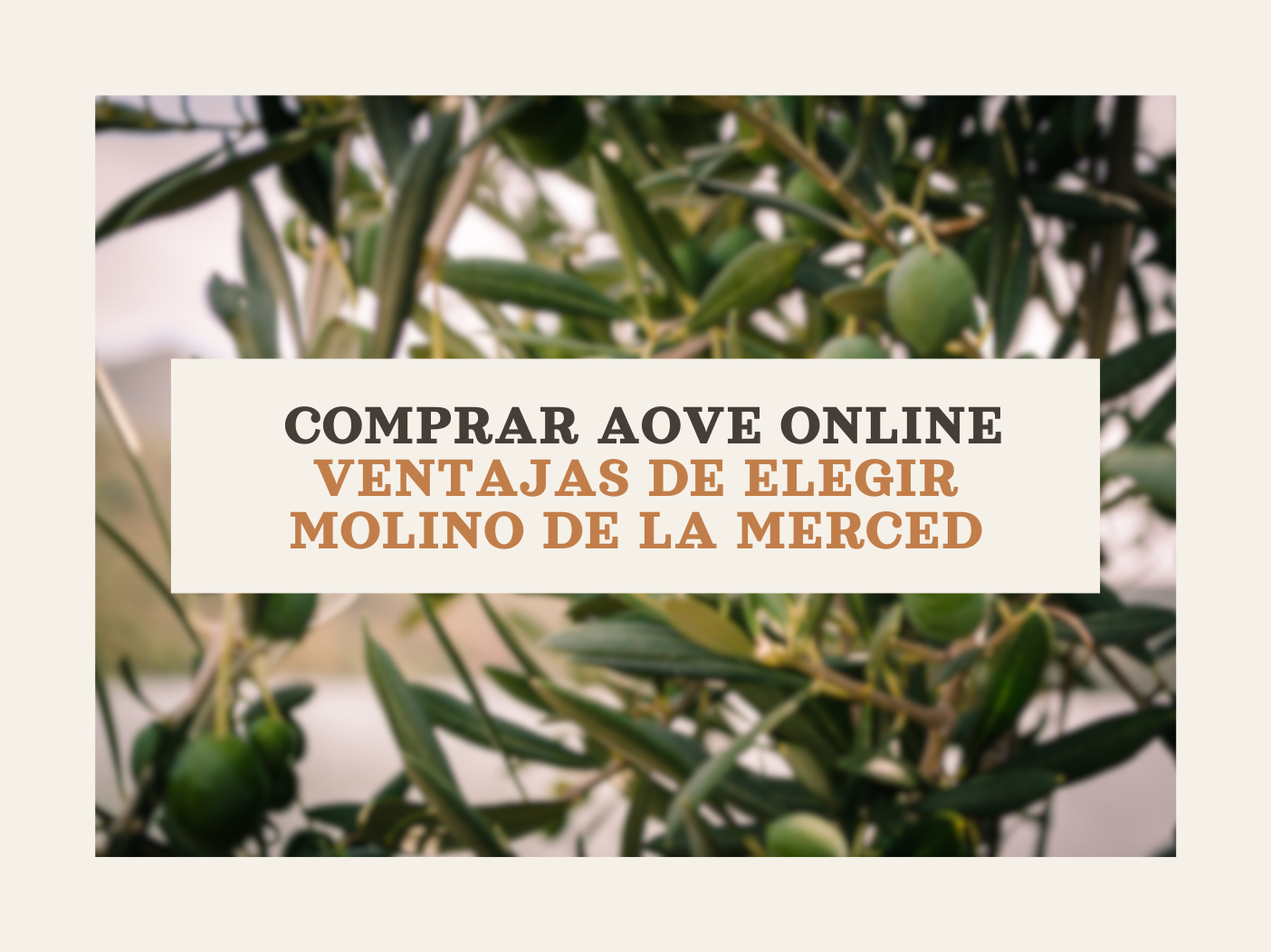 Imagen destacada de Comprar AOVE online: ventajas de elegir Molino de la Merced