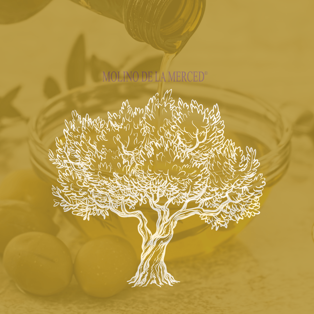 Imagen destacada de Propiedades nutricionales y beneficios para la salud del aceite de oliva y su papel en la dieta mediterránea.