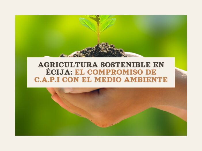 Actualidad de ayudas PAC