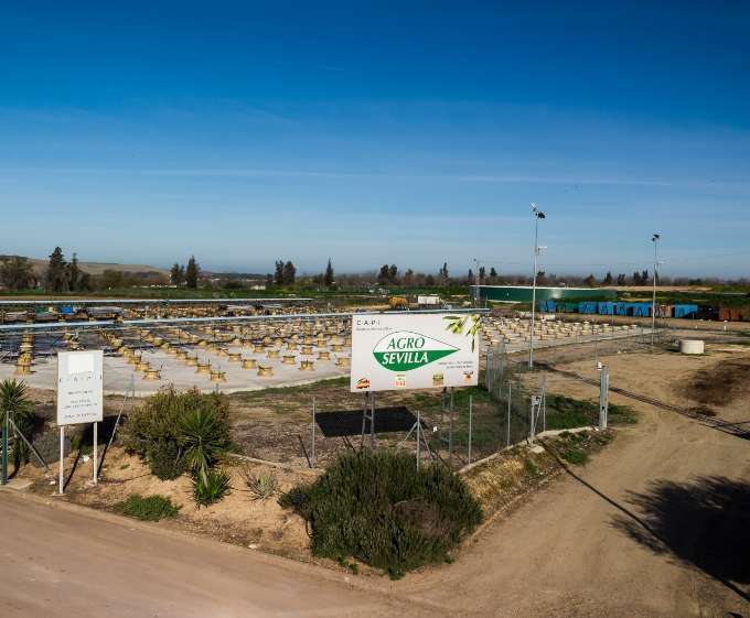 Gama de aceite Molino de la Merced