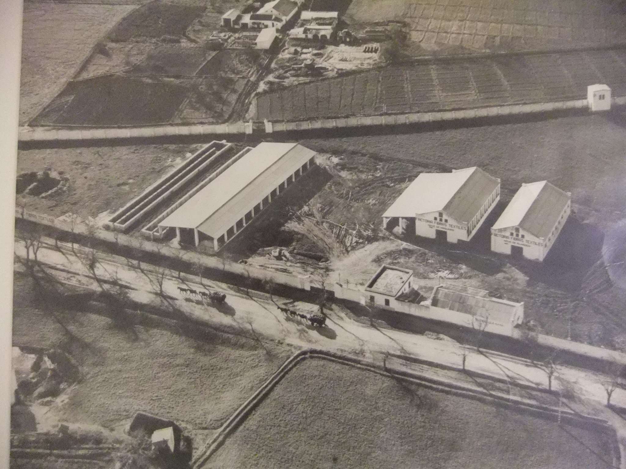 Línea de producción CAPI