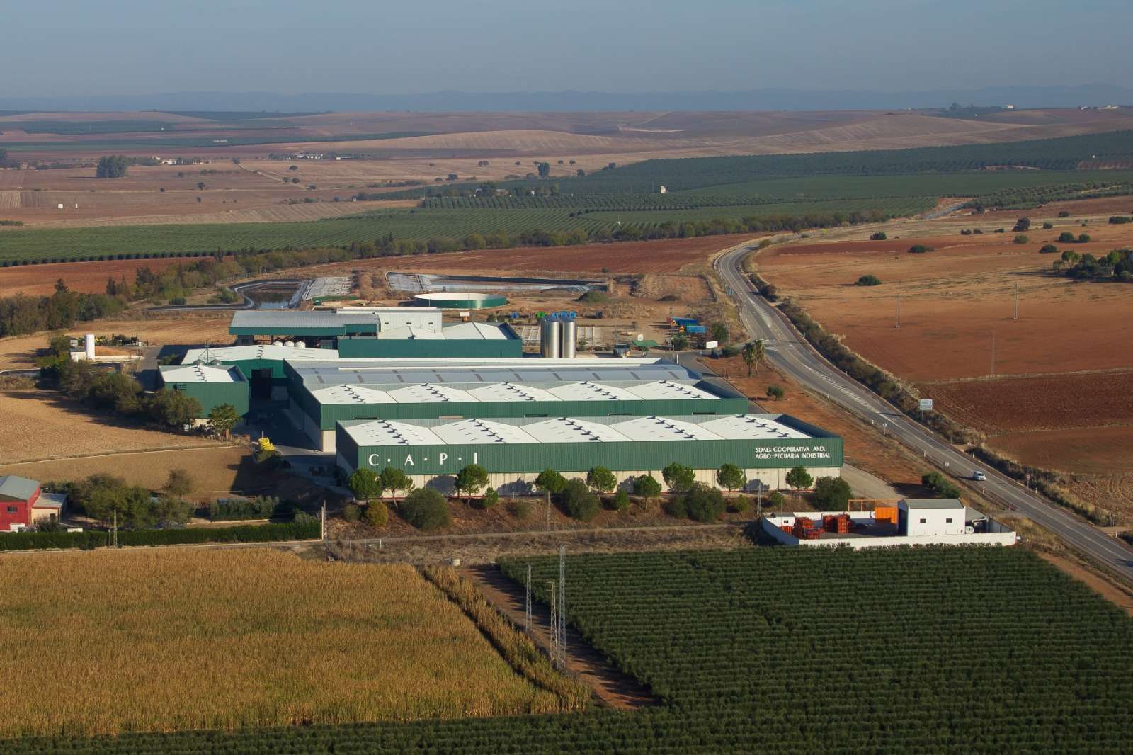 Zona de producción CAPI